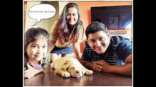 WE GOT A LABRADOR PUPPY!! 8 WEEKS OLD LABRADOR PUPPY | Marathi-English Vlog