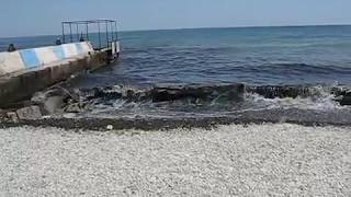 Грязная вода, море в Феодосии (май 2019)