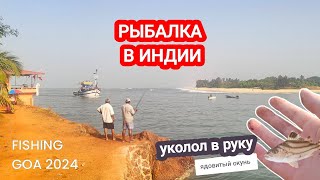 Как порыбачили на рифах Гоа| Всё про рыбу, как рыбачат местные| Fishing Goa 2024 @letovgoa