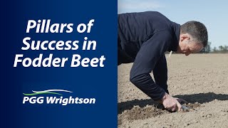 Pillars of Success in Fodder Beet | PGG Wrightson Tech Tips