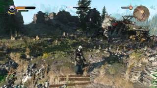 The Witcher 3: Wild Hunt demon hunt