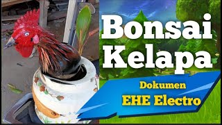 Bonsai Kelapa (Bonkla) karya Lalu Suminggah, Sambik Jengkel, Desa Selengen, Kayangan