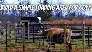 How We Built a Simple Loading Area for Cows.