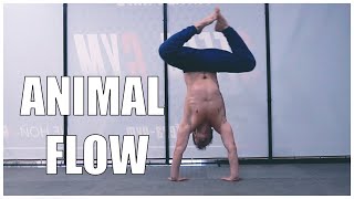 Animal Flow,  Primal movement, locomotion (strenght & mobility practice)