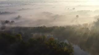 SUPER NEBBIA SULLE RIVE DEL GRANDE FIUME