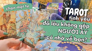 CHỌN MỘT BỘ BÀI TAROT || Đã lâu không gặp NGƯỜI ẤY CÓ NHỚ VỀ BẠN - trải bài tình cảm