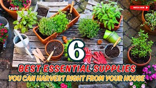 TOP 6 BEST ESSENTIAL SUPPLIES YOU CAN HARVEST RIGHT FROM YOUR HOUSE! 🏠🚑🌿🌱 // Gardening Ideas