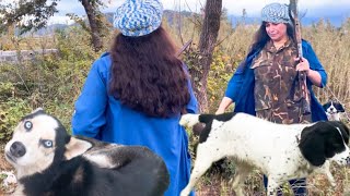 Wild fowl hunting in the wild and with a hunting dog / wild fowl in the wild