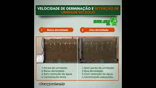 Velocidade de Germinação e Retenção de Umidade no Solo  #agro #agricultura #agropecuaria #pecuaria