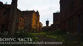 Целлюлозно-бумажный комбинат БОНУС ЧАСТЬ