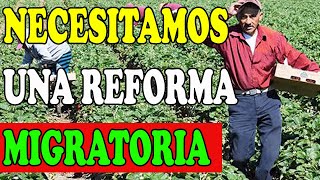 Refroma migratoria: agricultores la exigen ante escazes de mano de obra