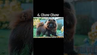 Top 5 Popular And Dangerous Dog Breeds #Shorts Video #Short