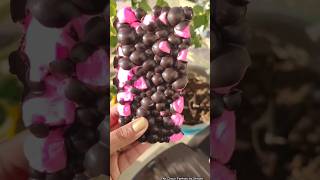 MOM ke liye Chocolate 💕😍😍🍫🍫🍫@SpicyfoodCorner #shorts#youtubeshorts#chocolate#viral#cottoncandy#mom