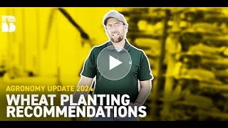 Wheat Planting Recommendations