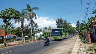 Bus Citra Adi lancar, ijo royo royo