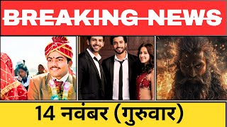 लापता लेडीज  ऑस्कर में , कार्तिक की एक और सिकवल , विकी का रौद्र रूप | Bollywood Latest News 2024