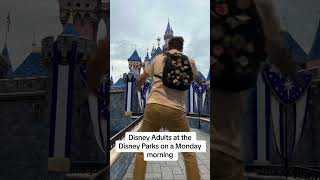 The Disney Adult Struggle