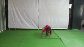 ARTISTIC YOGA Solo by Aaditya Nitin Dusane BD/28.12.2009-World Artistic Yoga Cup 2020 AMATEUR-INDIA