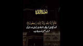 #surah Baqrah with urdu translationayat ayat  152 -156