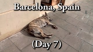 (Barcelona) 10 countries in 14 days