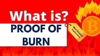 proof of burn explained | POB clear explanation