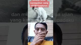 Sedih lihatnya🥺😭 #kasihan #kucing #teriakan