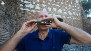 (W.A.Mozart) Serenade No.13 KV 525 (Romance) for Harmonica