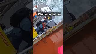 Pilot embarkation 👨‍✈️ #travel #cargoship #ship #merchantnavy #seapilot #youtubeshorts #trending