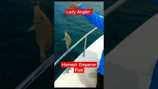 Lady Angler Harvest Emperor Fish #shorts #shortvideo #shortsfeed #fypシ #fishing #fish #ofw