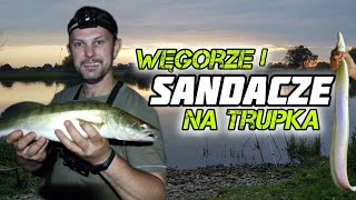 WĘGORZE i SANDACZE na TRUPKA - WĘDKARSKA ZASIADKA