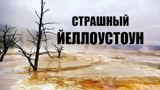 СТРАШНЫЙ ЙЕЛЛОУСТОУН