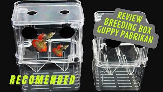 Anakan Ikan Guppy Auto Aman Pakai Breeding Box Pabrikan ini. RECOMENDED!