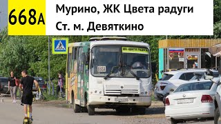 Автобус 668а "Ст. м. "Девяткино" - Мурино, ЖК "Цвета радуги"