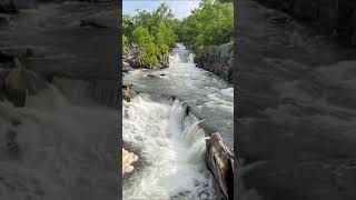 Hiking in America.  Great Falls. #nature #relaxing