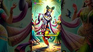 Mysteries of Nidhivan: The Nightly Dance of Krishna Divinity