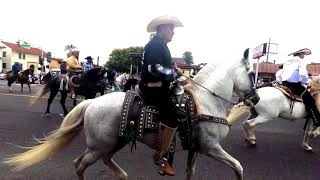 Vallejo 4th Of July Parade 2018 Show Horses