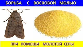 Борьба с восковой молью при помощи серы