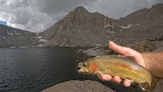 Fishing in Bad Weather for GOLDEN TROUT