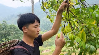 Take care of the vegetable garden, raise animals and pick star fruit to sell | Build My Daily Life