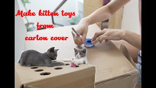 Make kitten toys from carton cover | Little kittens