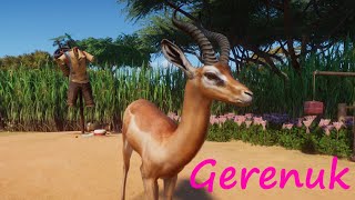 Gerenuk by Narwhaler - Planet Zoo Mod