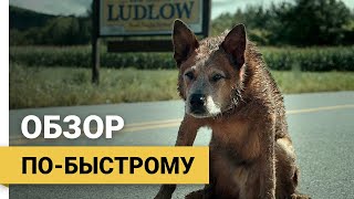 Кладбище домашних животных: Кровные узы (Pet Sematary: Bloodlines, 2023) ► Обзор по-быстрому