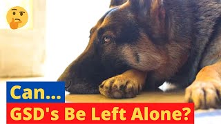 How Long Can German Shepherds Be Left Alone at Home?