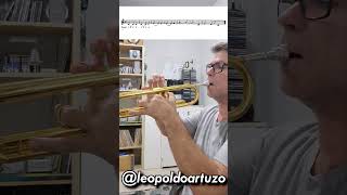 Estude pouco, toque bonito, Vídeo 92  #trompeta #trompete #trumpetmusic #trumpetsongs #trumpette