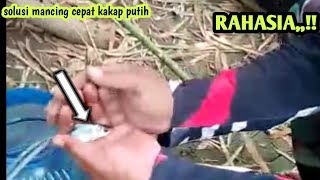 cara mancing barramundi tercepat di dunia