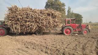 Stuck Tractors Loaded Trolley | Belarus Stuck in Punjab