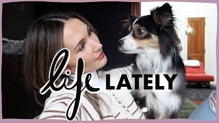 Life Lately February Vlog: easy weeknight dinners and catching up | ttsandra