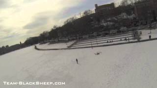 Late Winter Fly In- Van Cortlandt Park, NY