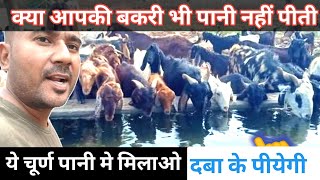 Bakri Pani Nahi Piti To Kya Hoga|Pani kaise Pilaye|Vimalumrao