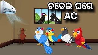 Chadhei Ghare Ac | Tiki Chadhei gapa | birds story | moral story | odia gapa | odia kahani